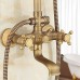 TY Antique Country Modern Shower Only Rotatable with Ceramic Valve Two Handles Two Holes for Antique Copper   Shower Faucet - B0749NLHH9